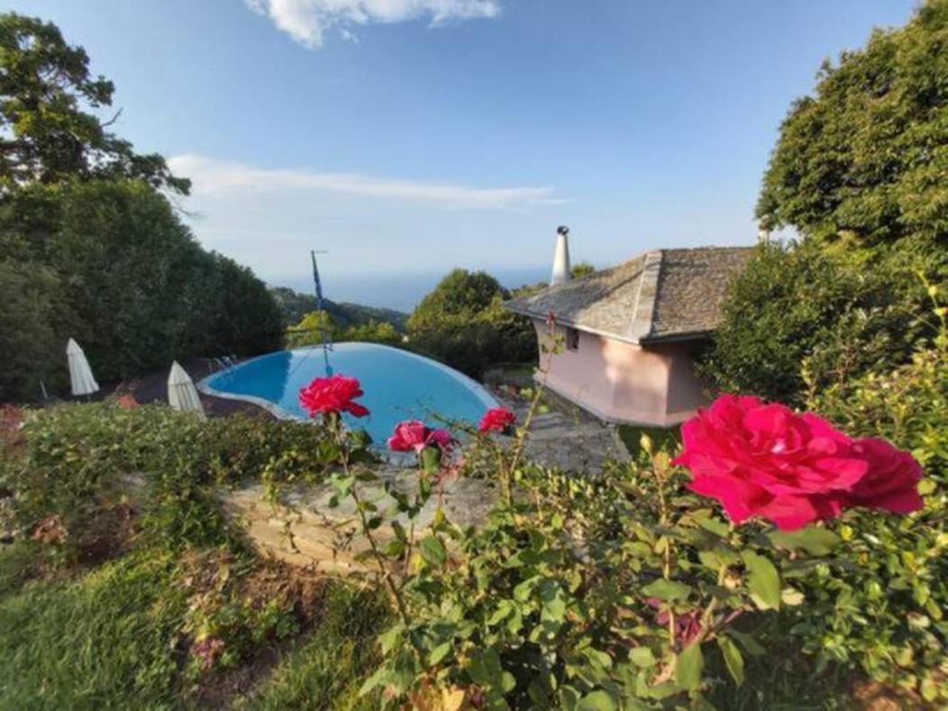 Tsagkarada Country Estate With Pool Villa Exterior photo