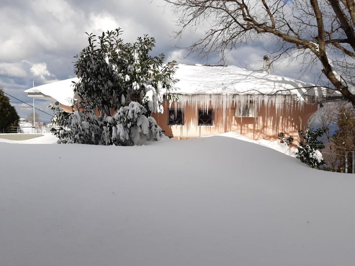Tsagkarada Country Estate With Pool Villa Exterior photo